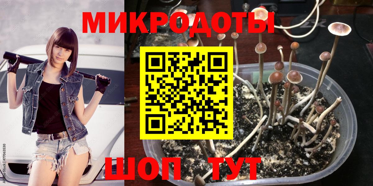 Галлюциногенные грибы мицелий Дивногорск