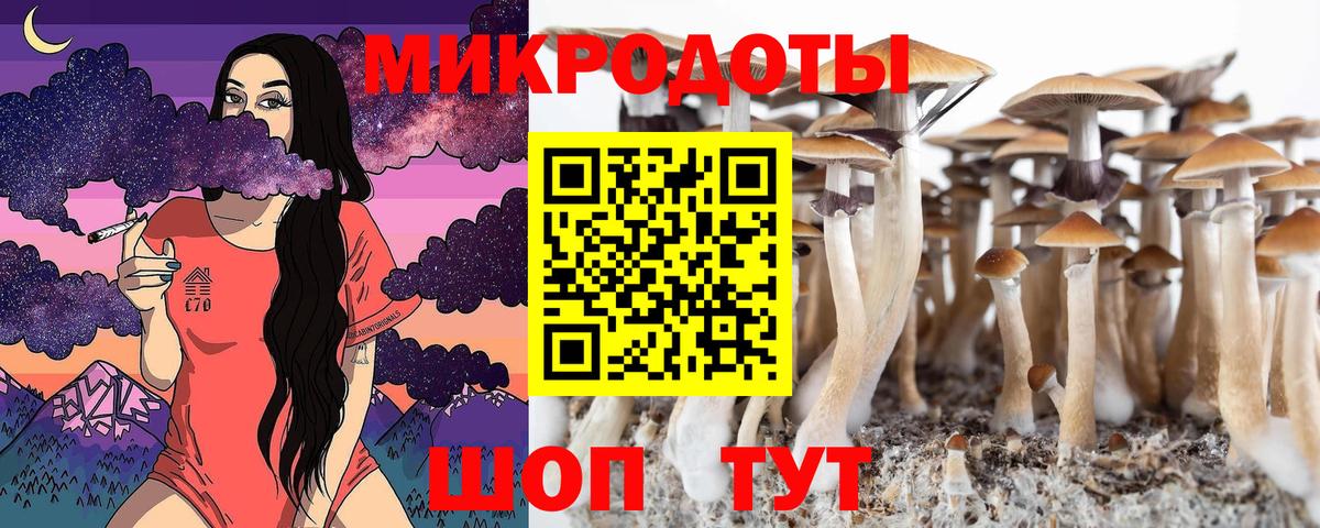 Дивногорск  Псилоцибиновые грибы GOLDEN TEACHER  Вход с VPN 